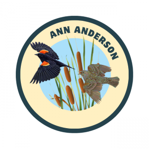  Ann Anderson