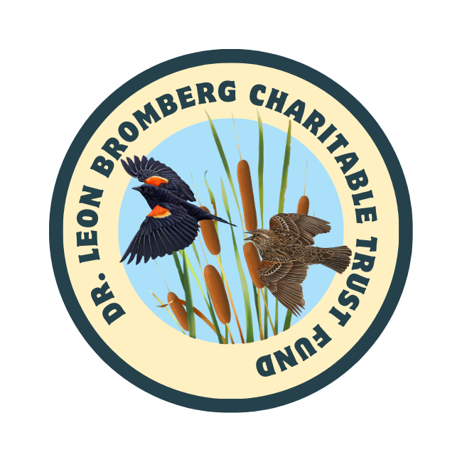  Dr. Leon Bromberg Charitable Trust Fund