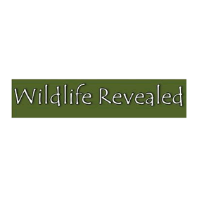  Wildlife Revealed