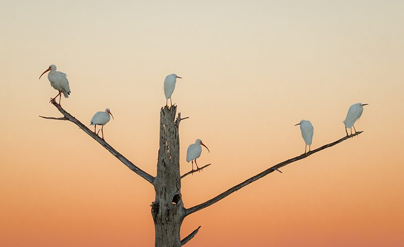 A Question of Balance