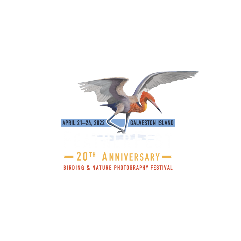 GINTC-FeatherFest_20th-Logo_Sq-ForDarkBkgd