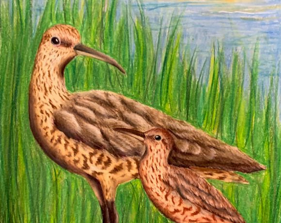 Remember Me for Generations