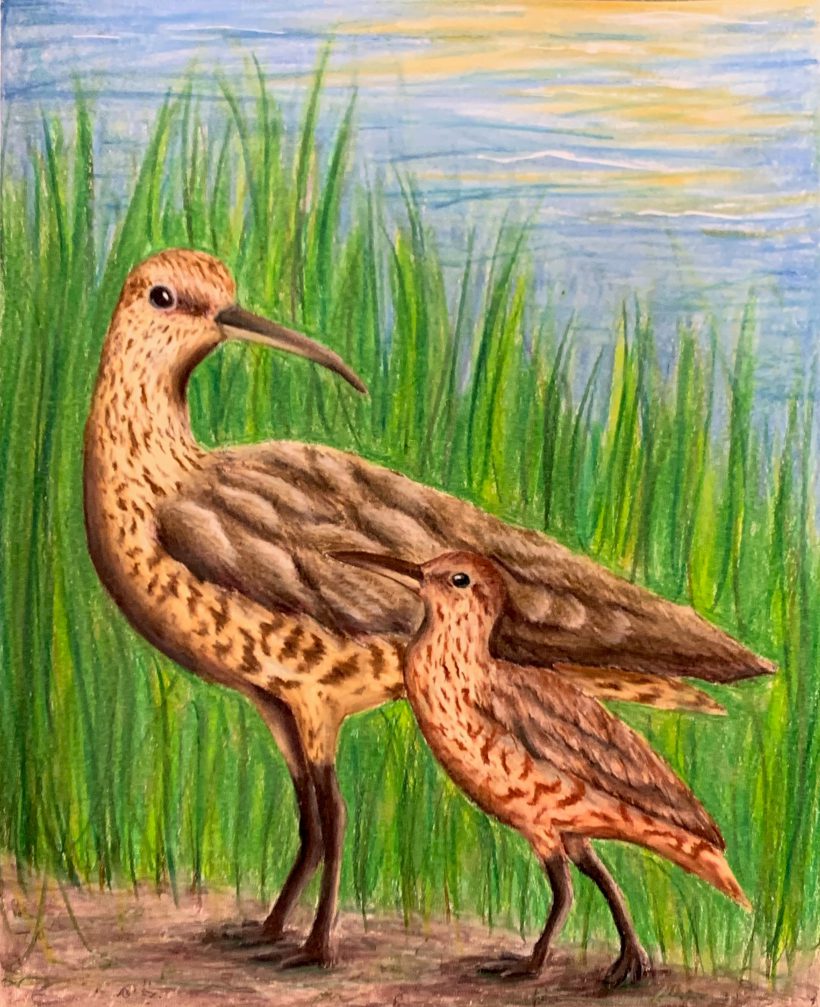 Remember Me for Generations