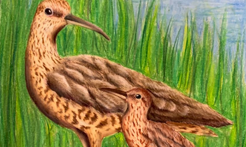 Remember Me for Generations