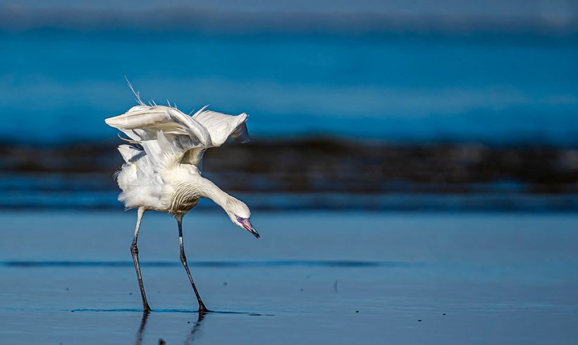 I Spy with My Little Eye