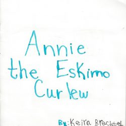 Annie the Eskimo Curlew
