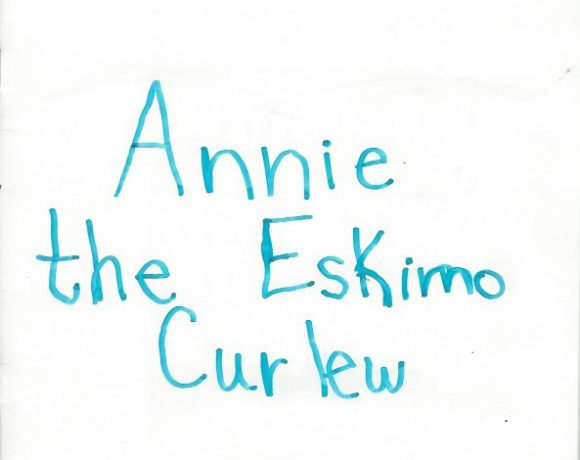 Annie the Eskimo Curlew