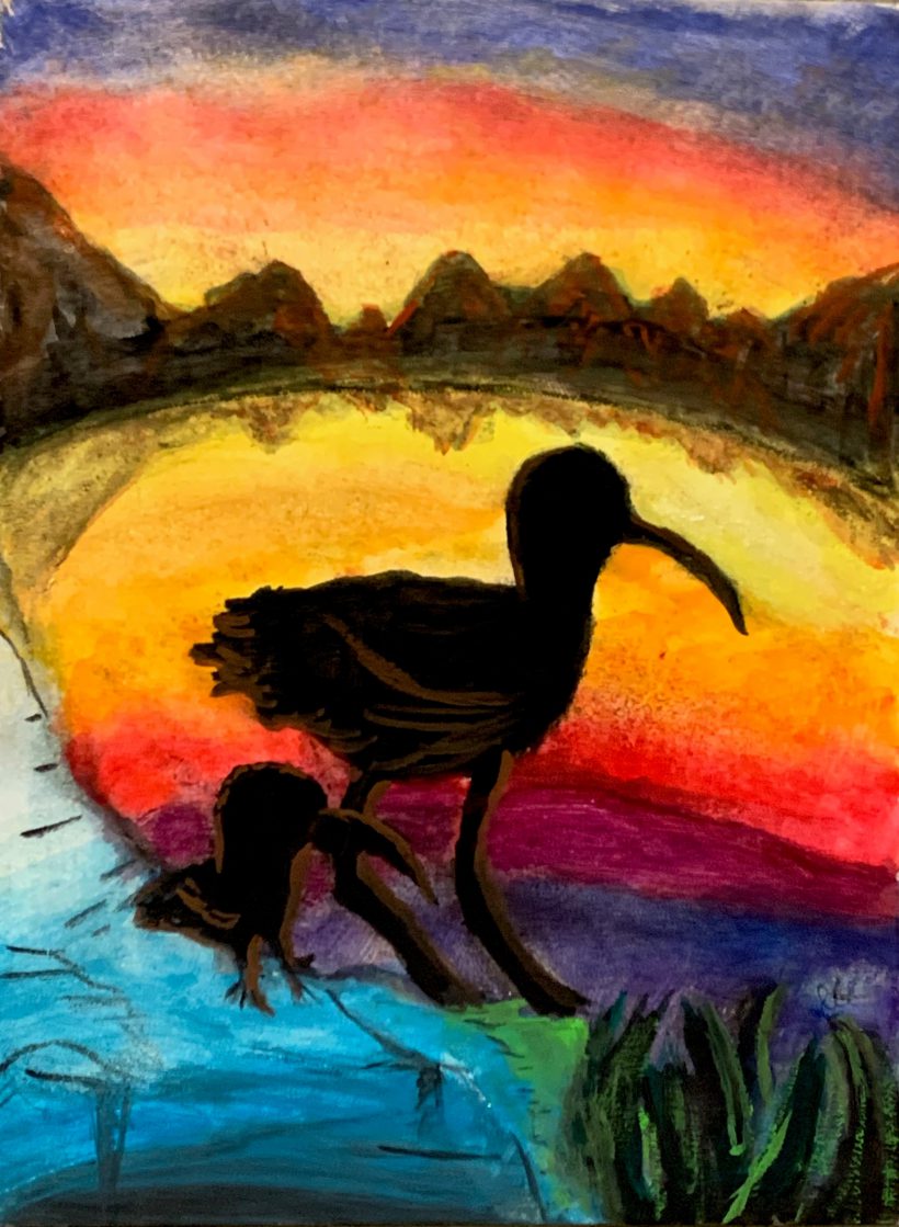 Eskimo Curlew at Sunset