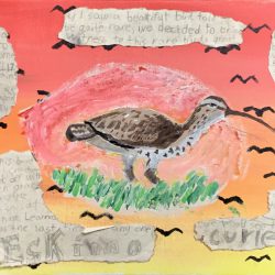 Eskimo Curlew Sunset