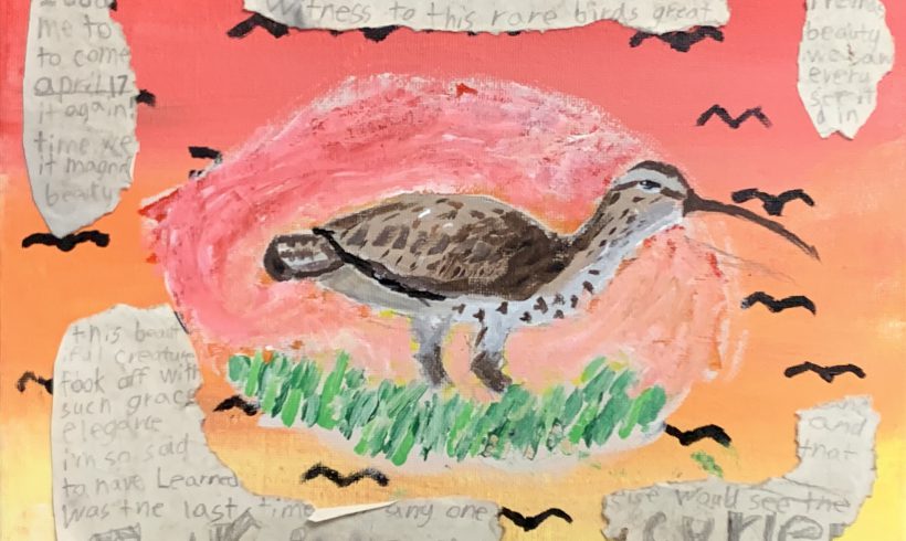 Eskimo Curlew Sunset