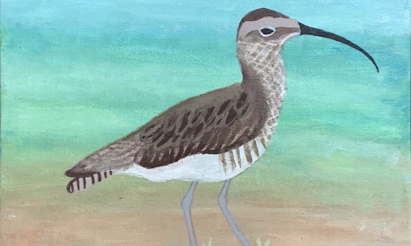 Eskimo Curlew on the Beach