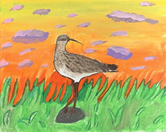 The Sun Sets on the Eskimo Curlew The Sun Sets on the Eskimo Curlew