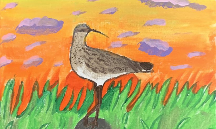 The Sun Sets on the Eskimo Curlew