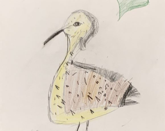 Eskimo Curlew