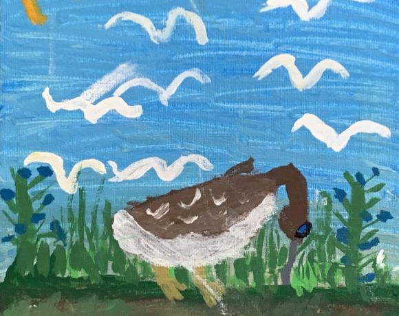 Eskimo Curlew in the Garden