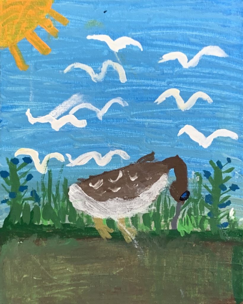 Eskimo Curlew in the Garden