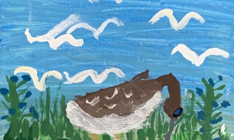 Eskimo Curlew in the Garden