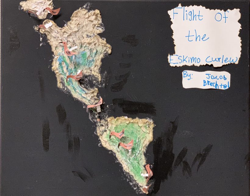 Flight of the Eskimo Curlew