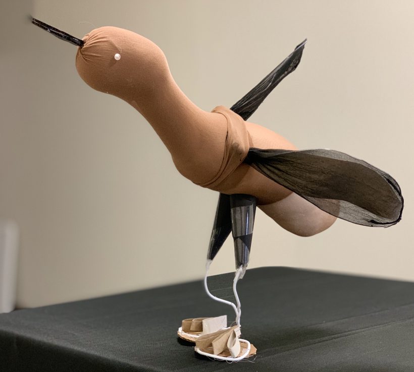 The Eskimo Curlew Lives On