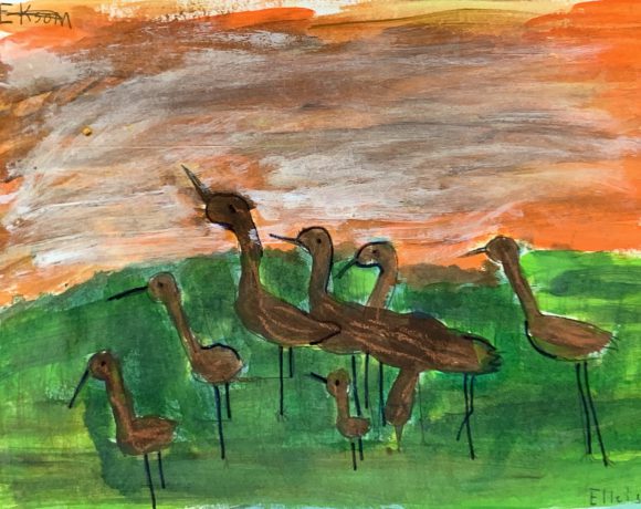 Flock of Curlew