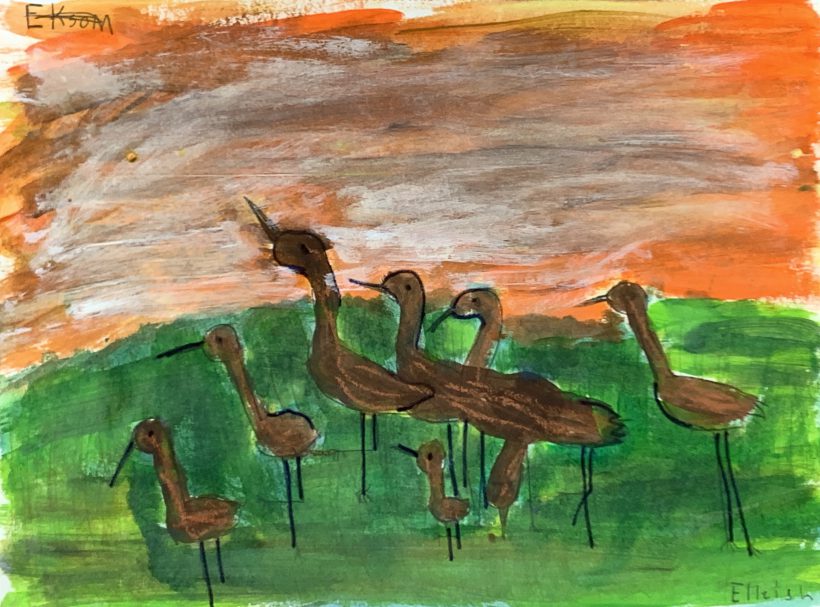 Flock of Curlew