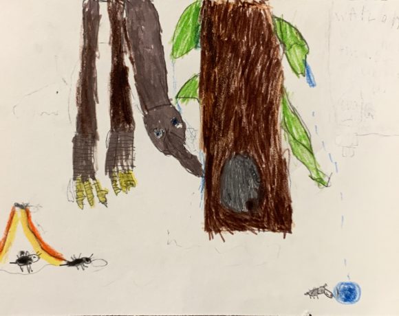 Looking for a Nest Site Looking for a Nest Site