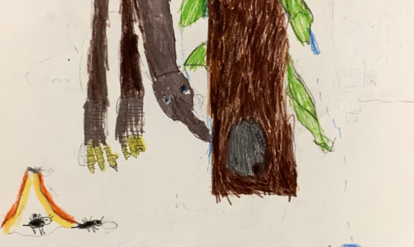 Looking for a Nest Site