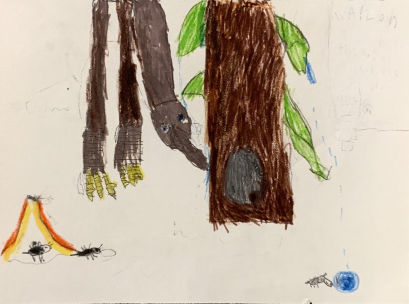 Looking for a Nest Site