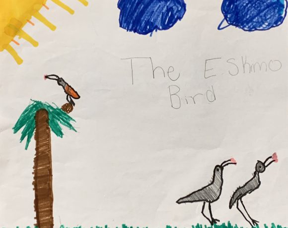 The Eskimo Bird The Eskimo Bird