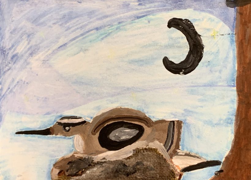 Curlew Nest at Night