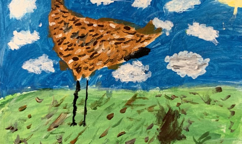 Eskimo Curlew