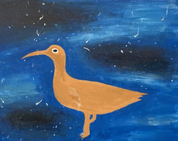 Eskimo Curlew in Space