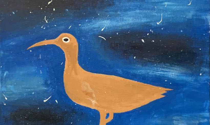 Eskimo Curlew in Space