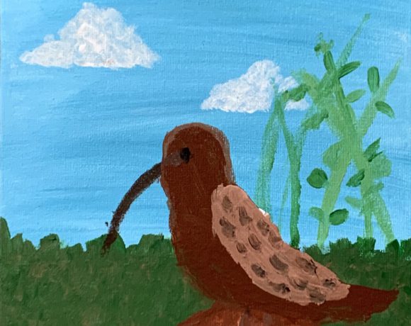 The Curlew The Curlew