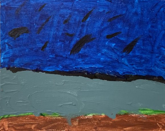 The Dodo and the Eskimo Curlew The Dodo and the Eskimo Curlew