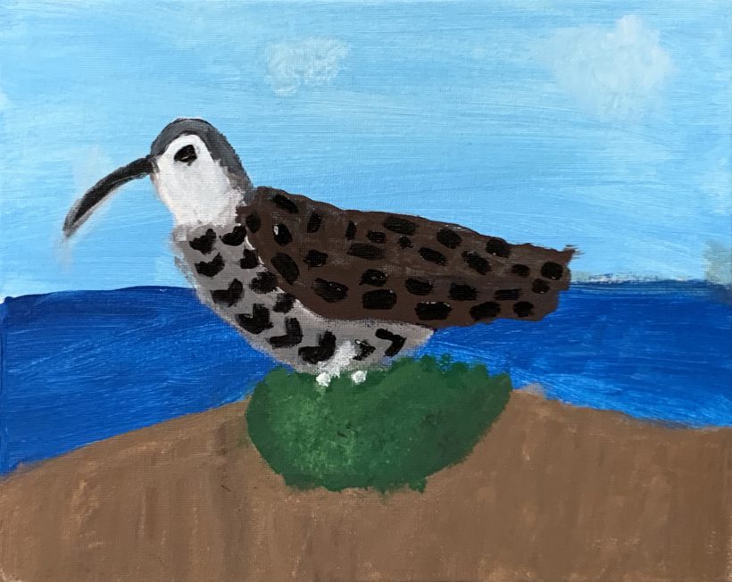 Eskimo Curlew