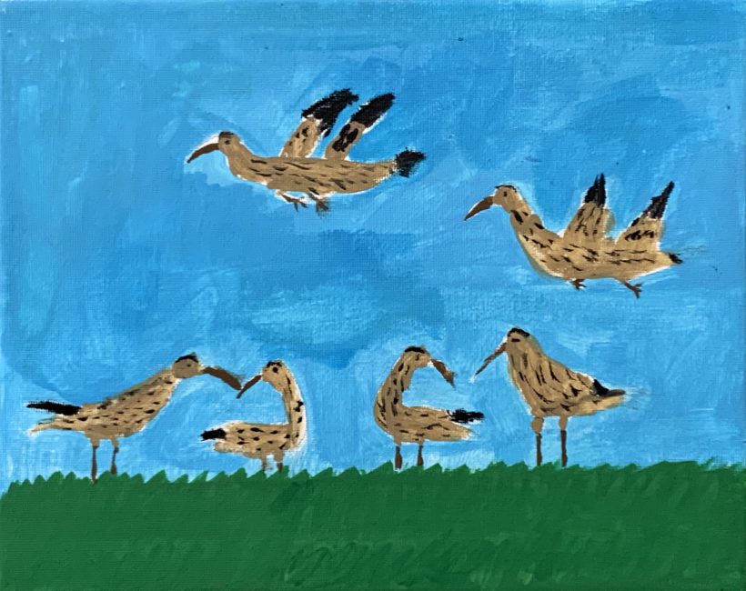 Eskimo Curlews