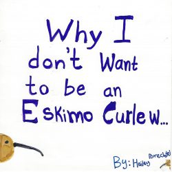Why I don’t want to be an Eskimo Curlew…