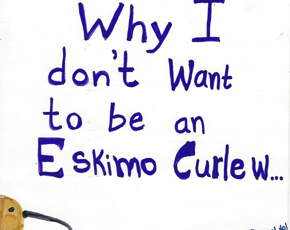 Why I don’t want to be an Eskimo Curlew…