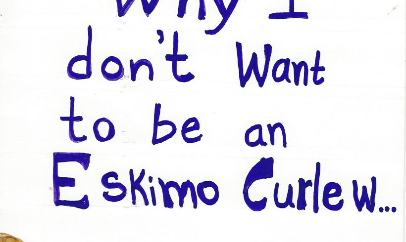 Why I don’t want to be an Eskimo Curlew…