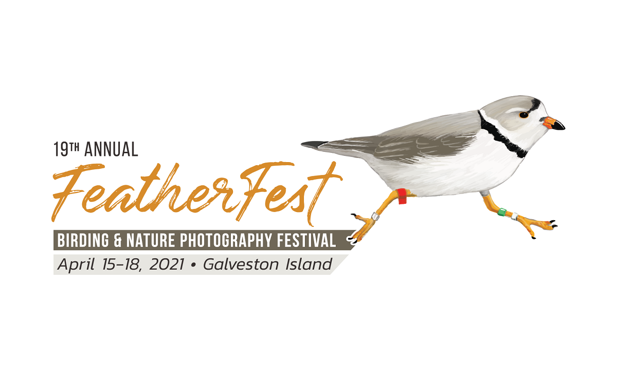 GINTC-FeatherFest_19th-Logo-Final_horizontal 1200