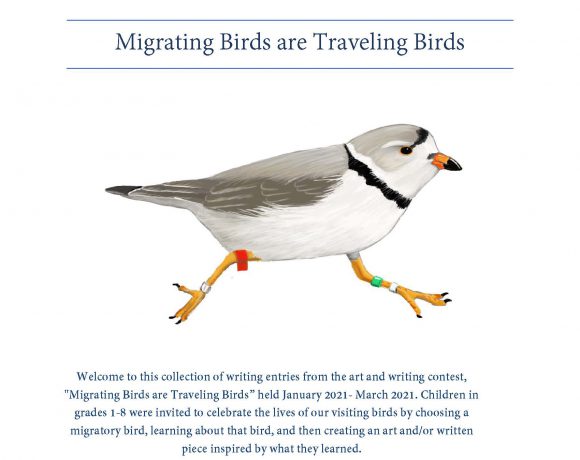 Migrating Birds are Traveling Birds- A Collection of Written Entries