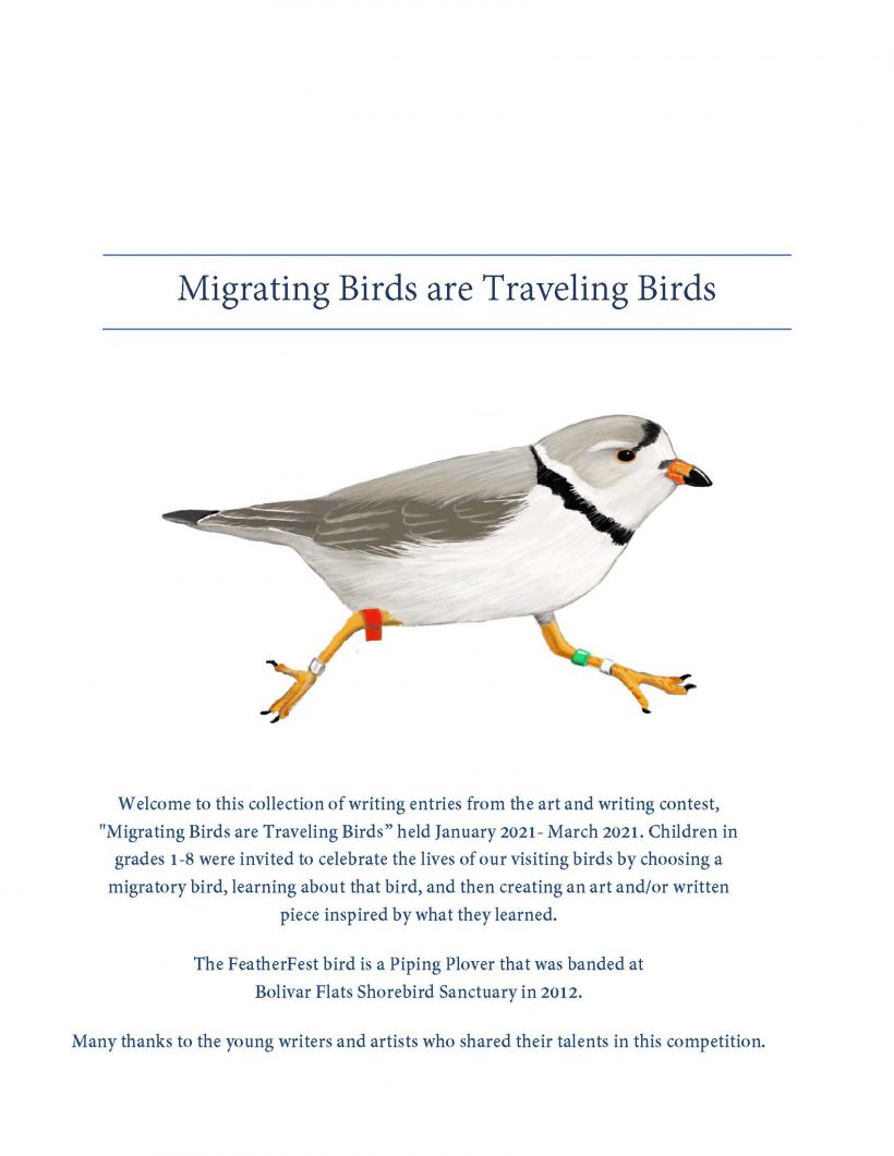 Migrating Birds are Traveling Birds- A Collection of Written Entries