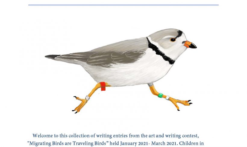 Migrating Birds are Traveling Birds- A Collection of Written Entries