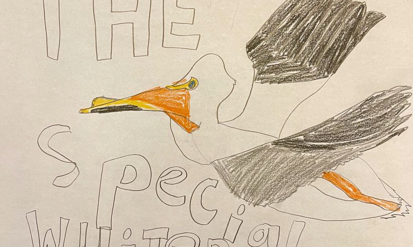 The Special White Pelican