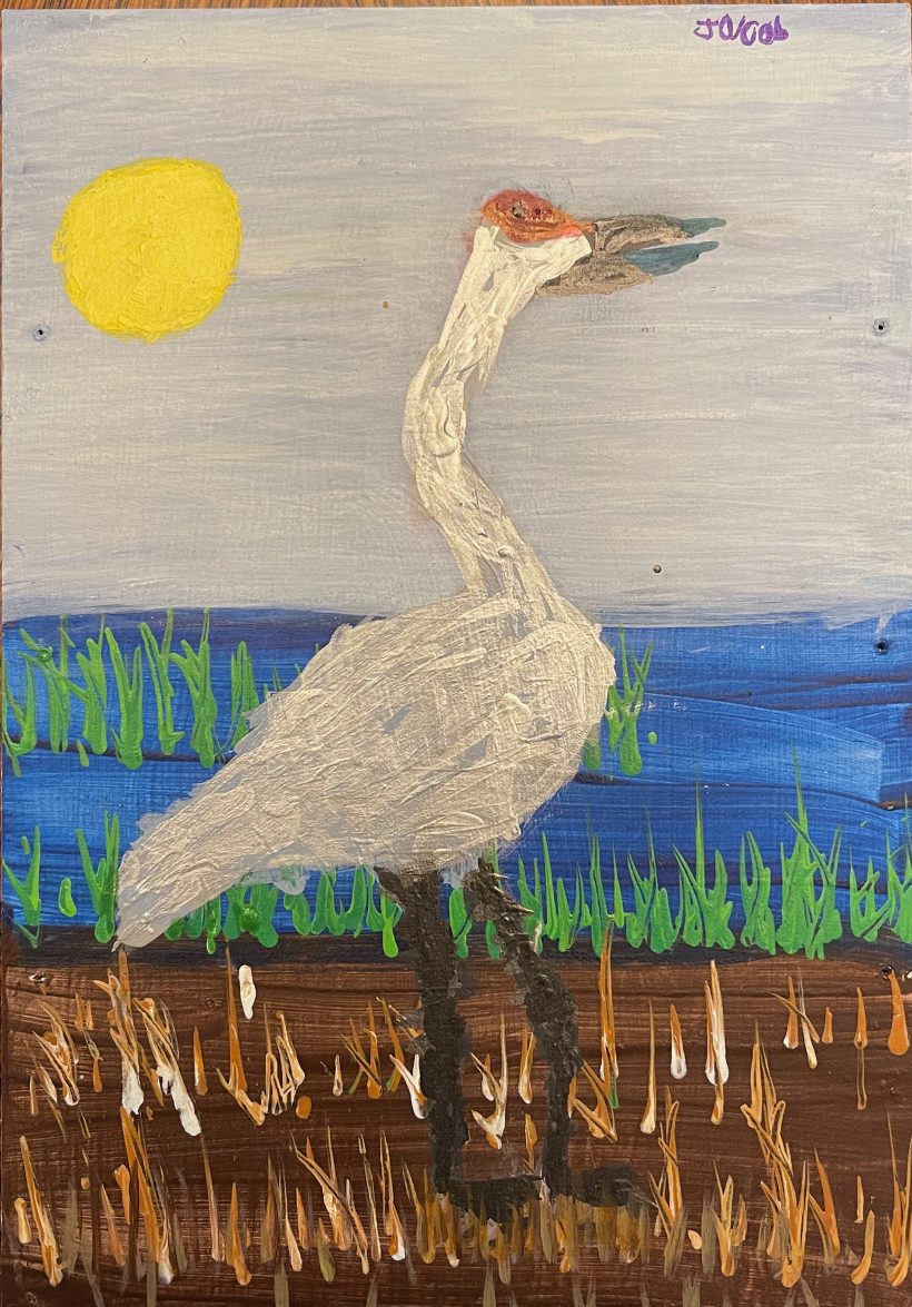 Sammy the Sandhill Crane