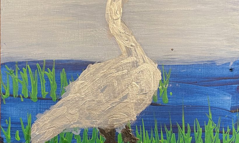 Sammy the Sandhill Crane