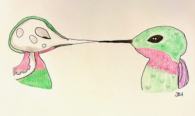 Ruby-throated Hummingbird