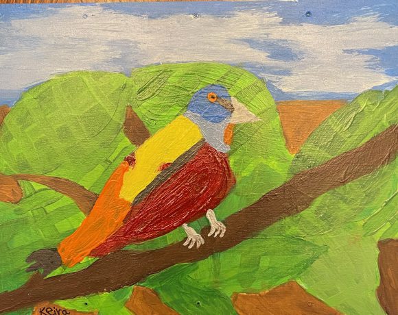 Polly the Painted Bunting
