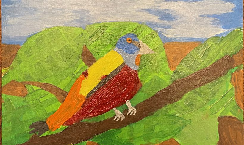 Polly the Painted Bunting